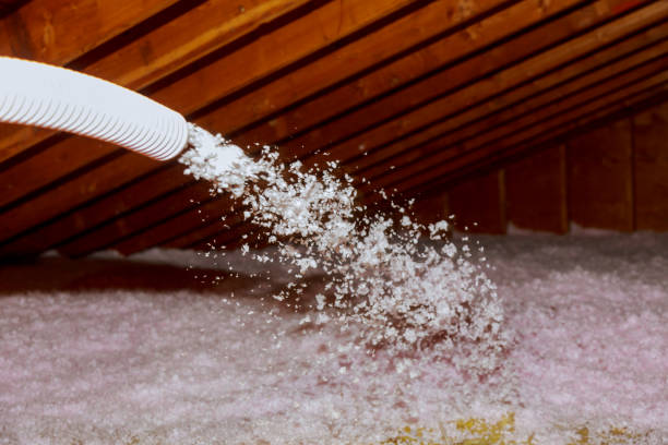 Best Eco-Friendly Insulation in Ivey, GA