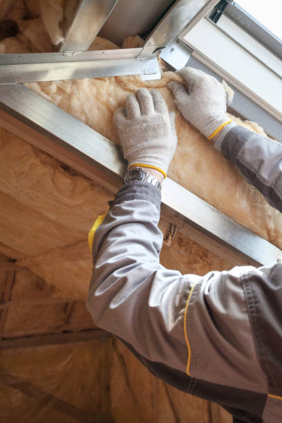 Best Specialized Insulation Services in Ivey, GA